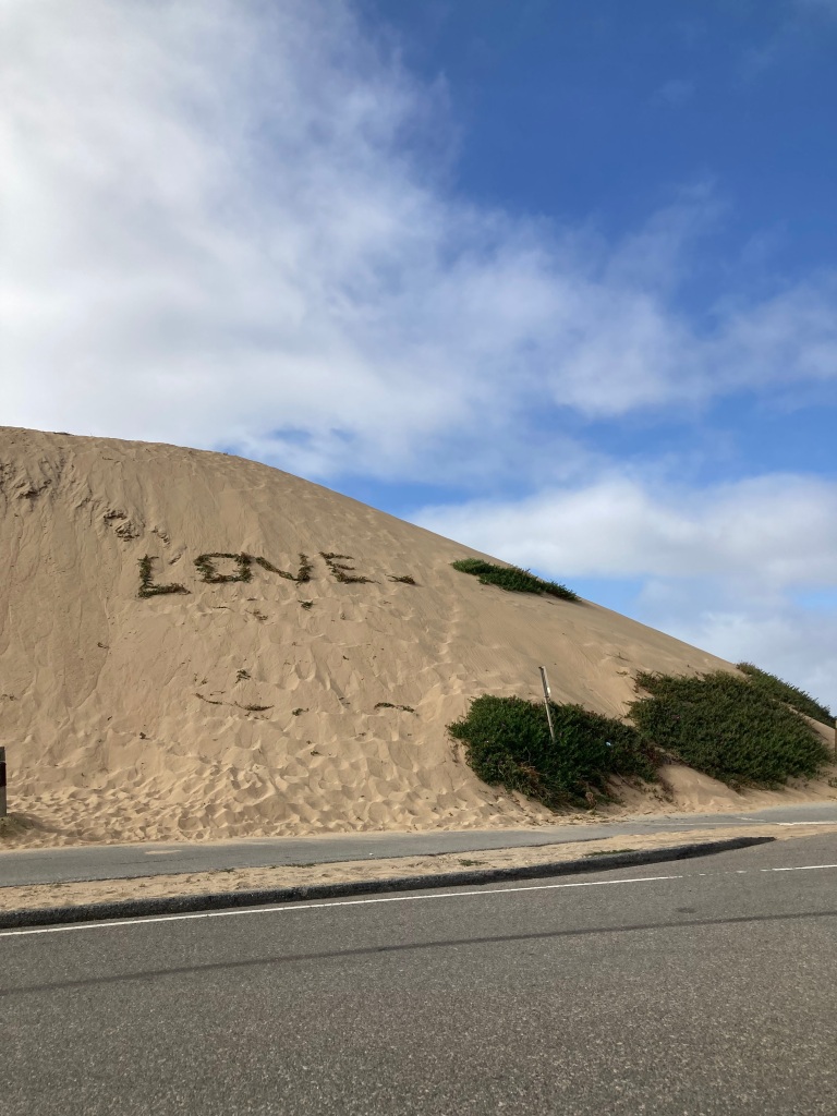 Someone writes "love" out of grass on a sand dune by the ocean. 