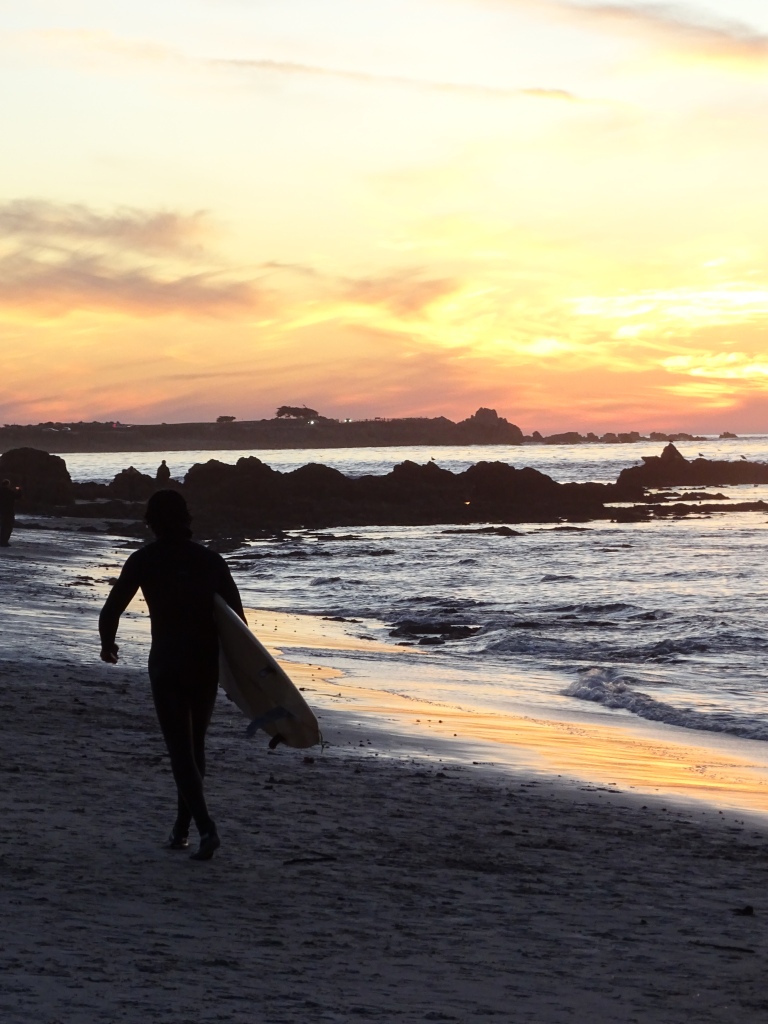 "Many parallels can be drawn between our existence and the sea."
A surfer walks along the rocky shoreline of Northern California, silhouetted by the setting sun.
